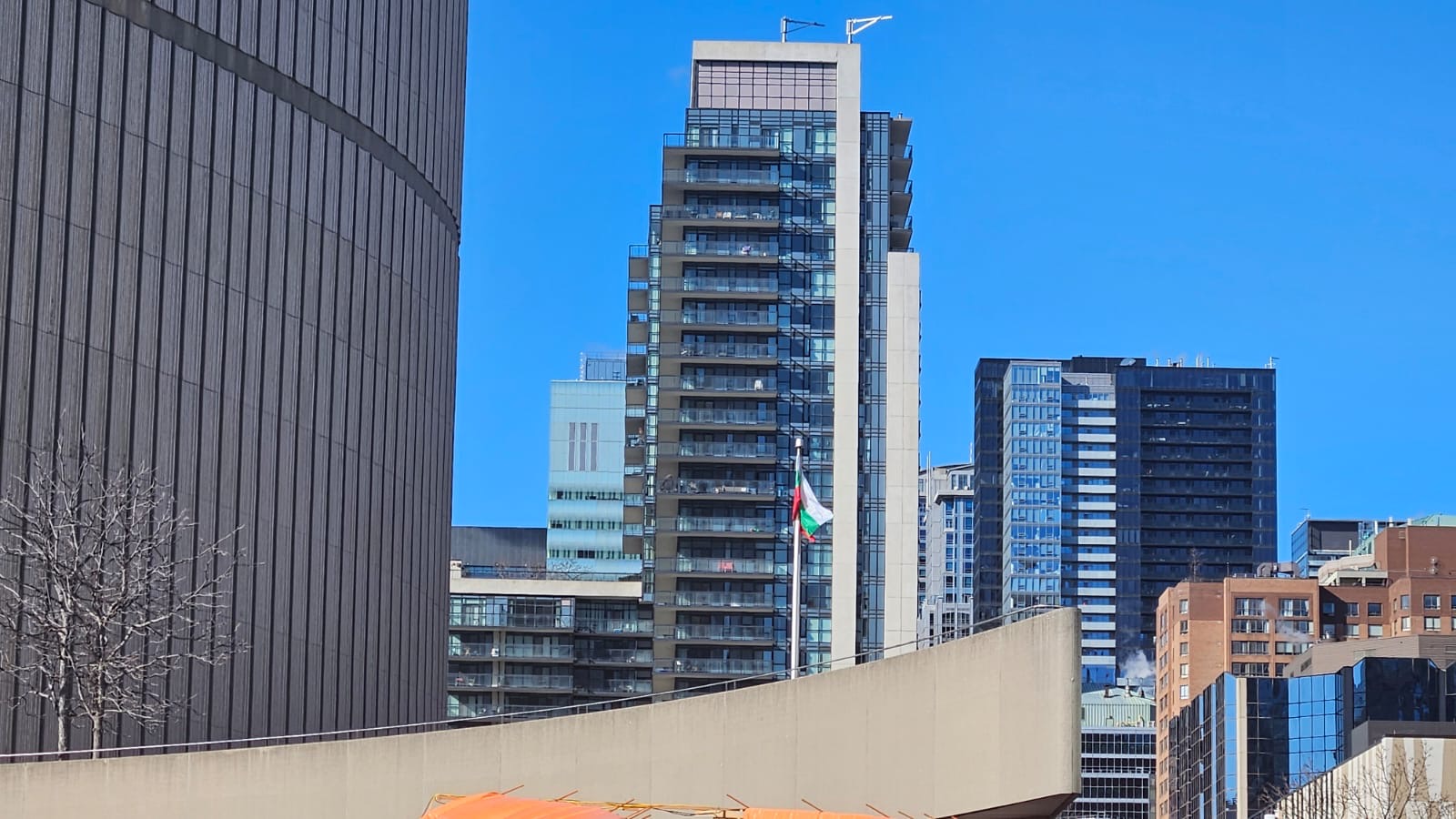 Честванията по повод 3 март – Националния празник на Република България в Канада